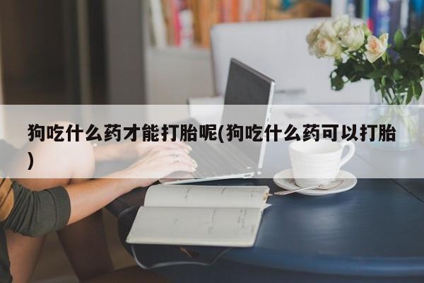 堕胎药怎么购买狗吃什么药才能打胎呢(狗吃什么药可以打胎)