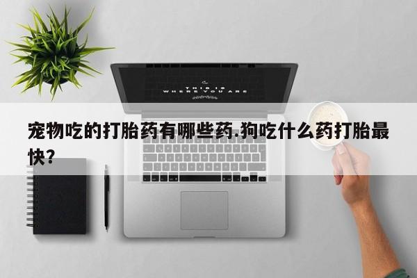 堕胎药怎么购买宠物吃的打胎药有哪些药.狗吃什么药打胎最快？