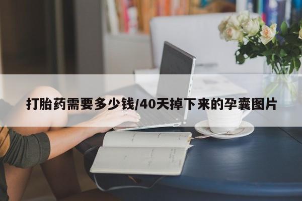 堕胎药怎么购买打胎药需要多少钱/40天掉下来的孕囊图片